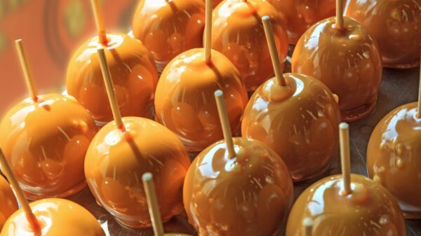 Celebrate Autumn: Top East Coast Fall Festivals You Can’t Miss