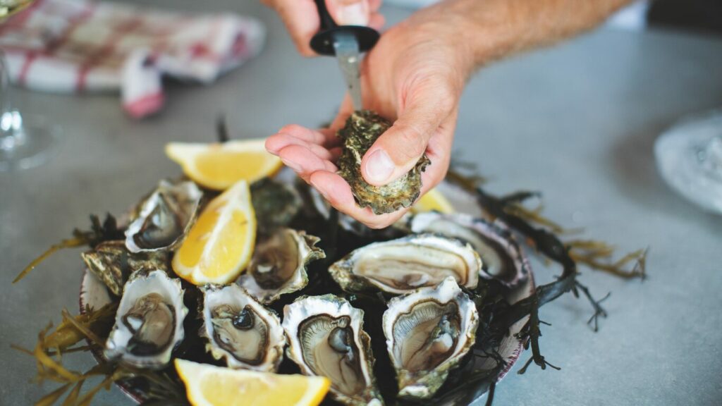 oyster festival oysters