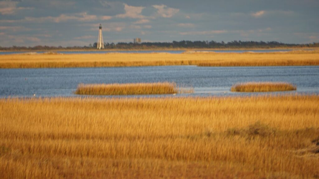 Cape Charles Lighthouse Virginia Autumn Coastline Cape Charles Lighthouse Virginia Autumn Coastline - East Coast hidden gems