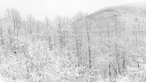 The Ultimate West Virginia Winter Getaway: Cozy Cabins & Snowy Adventures