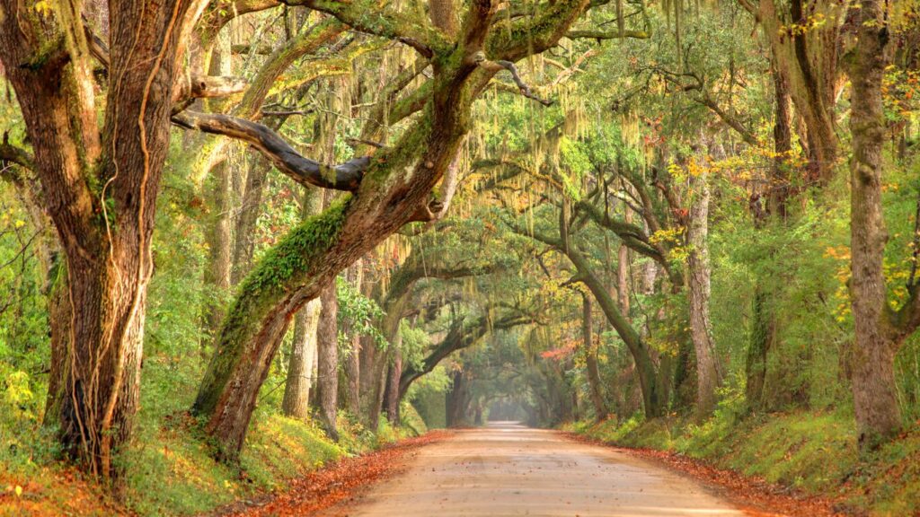 East Coast Hidden Gems & Scenic Detours You Need to Visit