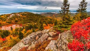 Autumn Adventures: Best Spots for Fall Foliage and Seasonal Culture on the East Coast